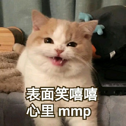 表面笑嘻嘻心里MMP猫表情包